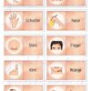 Domino_Körperteile_seite_4_web Körperteile - Domino