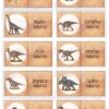 Domino_Dinosaurier_seite_3_web Dinosaurier & Flugsaurier - Domino