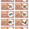 Domino_Dinosaurier_seite_6_web Dinosaurier & Flugsaurier - Domino