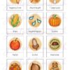 Herbstliches Wanderdiktat - 1. & 2. Klasse