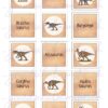 Merk-Spiel_Dinosaurier_seite_3_web Dinosaurier, Flugsaurier & Meeresreptilien - Merk-Spiel